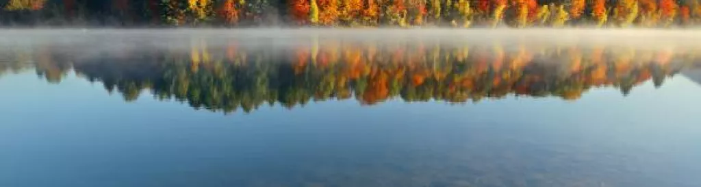 Lake Autumn Foliage fog